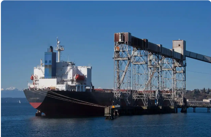 Monthly Review of China's Export Container Transport Market (January 2025)